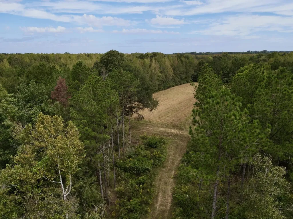 0 Upper Hull Road Moundville AL 35474