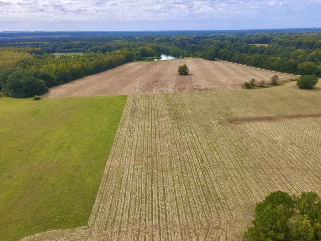 0 Upper Hull Road Moundville AL 35474