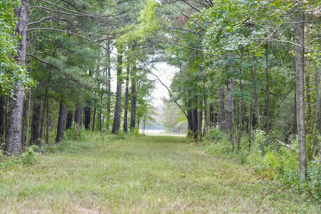 0 Upper Hull Road Moundville AL 35474