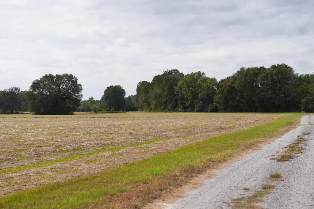 0 Upper Hull Road Moundville AL 35474