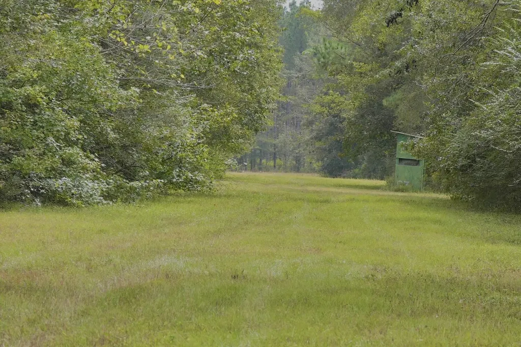 0 Upper Hull Road Moundville AL 35474