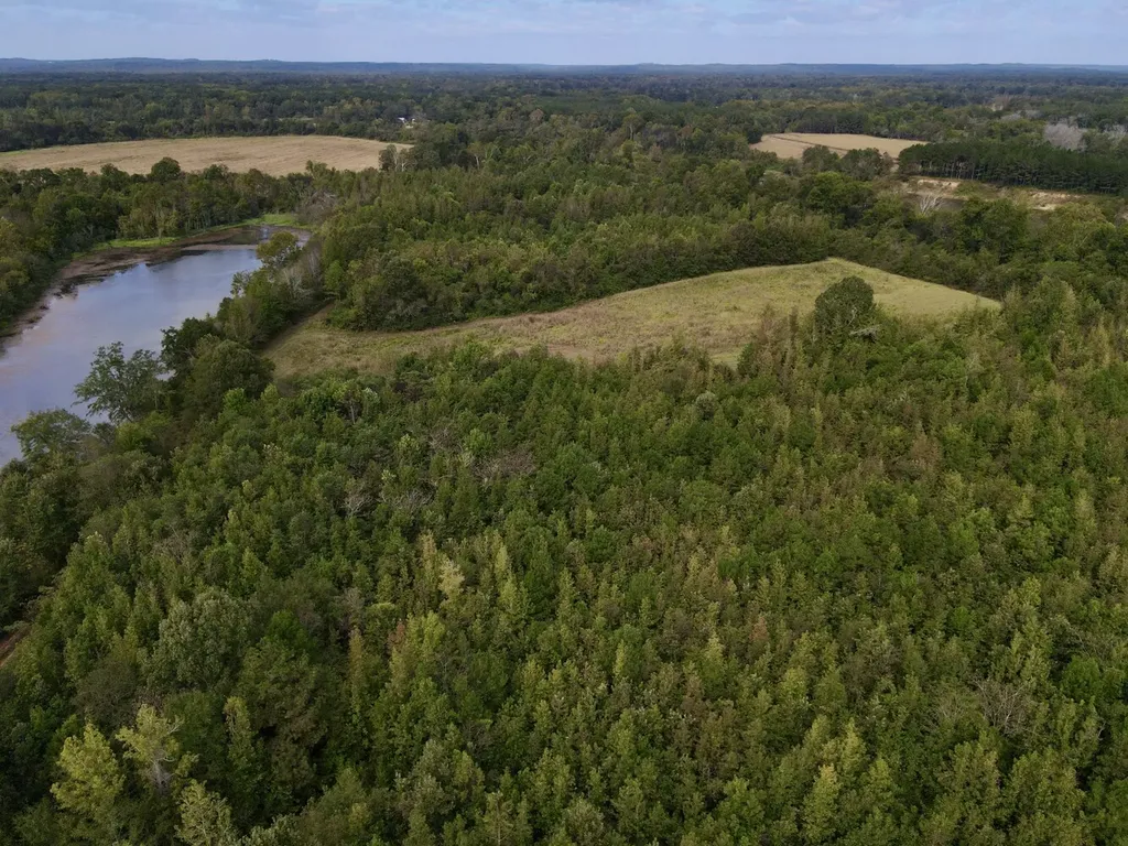 0 Upper Hull Road Moundville AL 35474