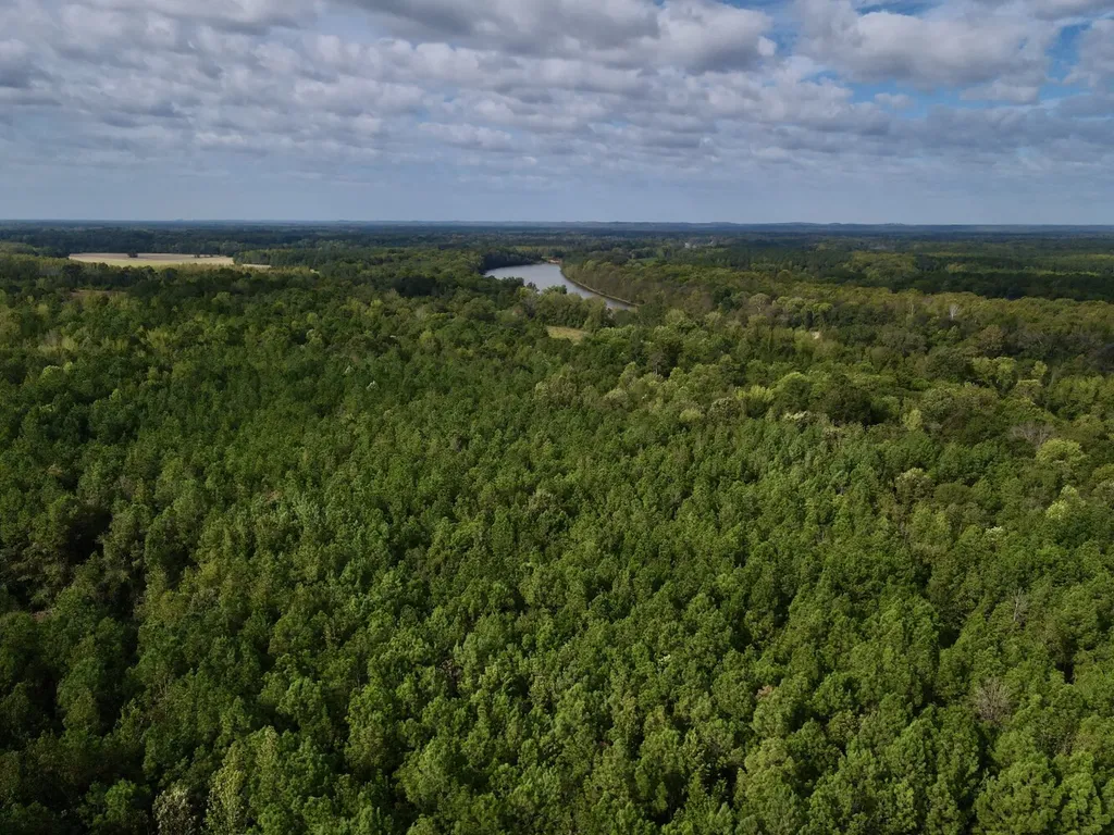 0 Upper Hull Road Moundville AL 35474