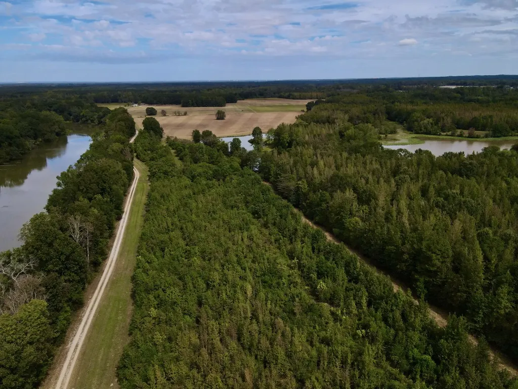 0 Upper Hull Road Moundville AL 35474