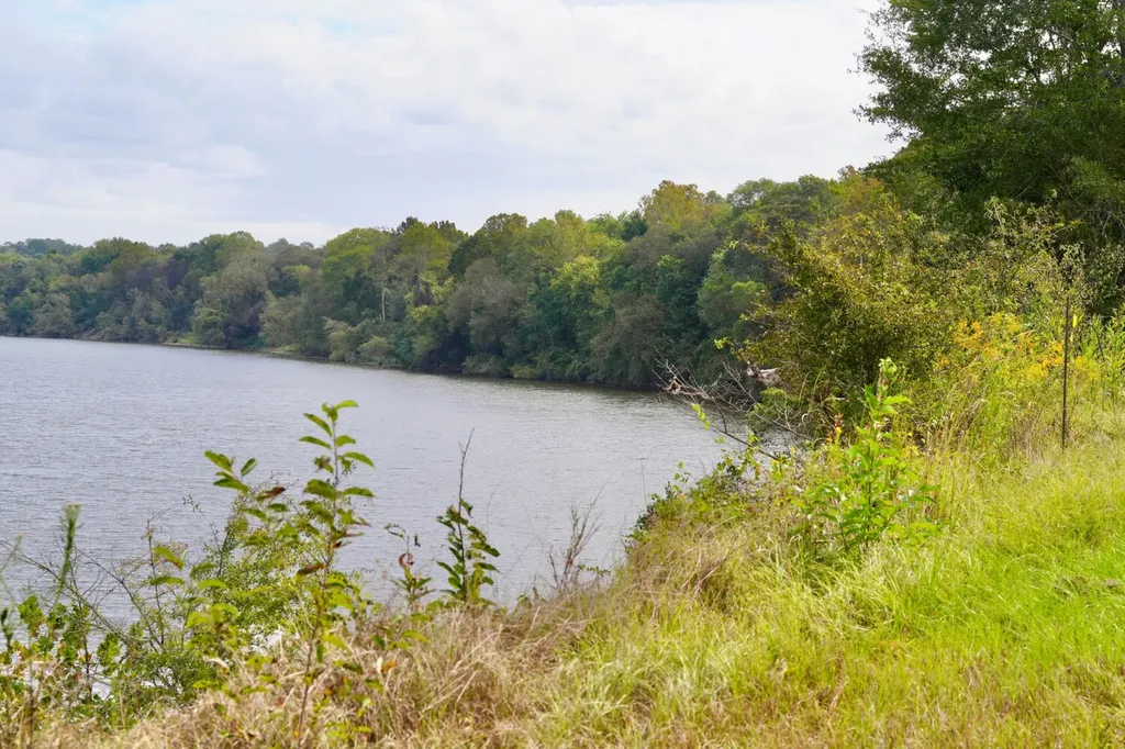 0 Upper Hull Road Moundville AL 35474