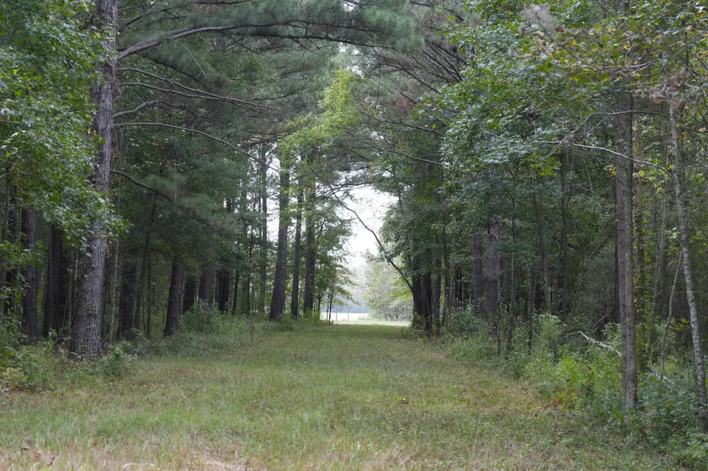 0 Upper Hull Road Moundville AL 35474