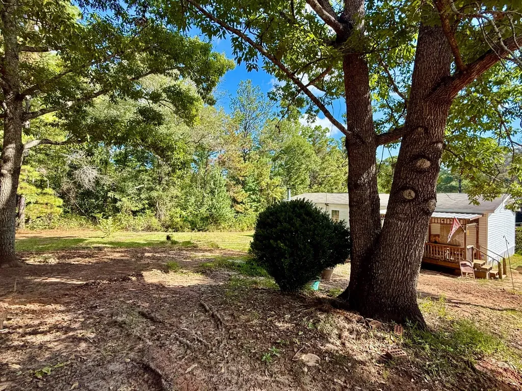 295 Haddox Drive Pine Hill AL 36769