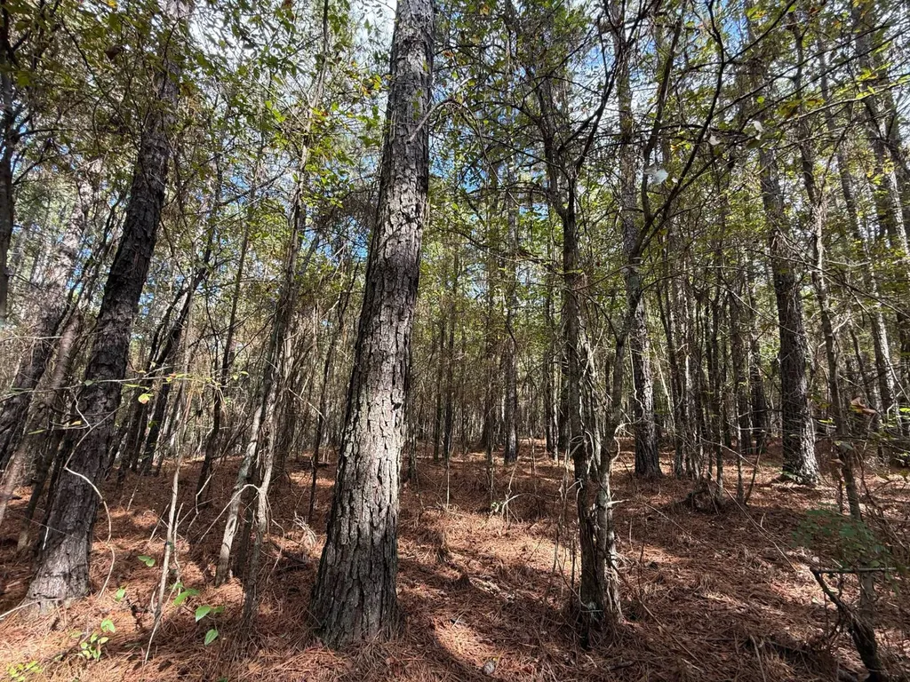 0 Howells Cove Road Talladega AL 35160