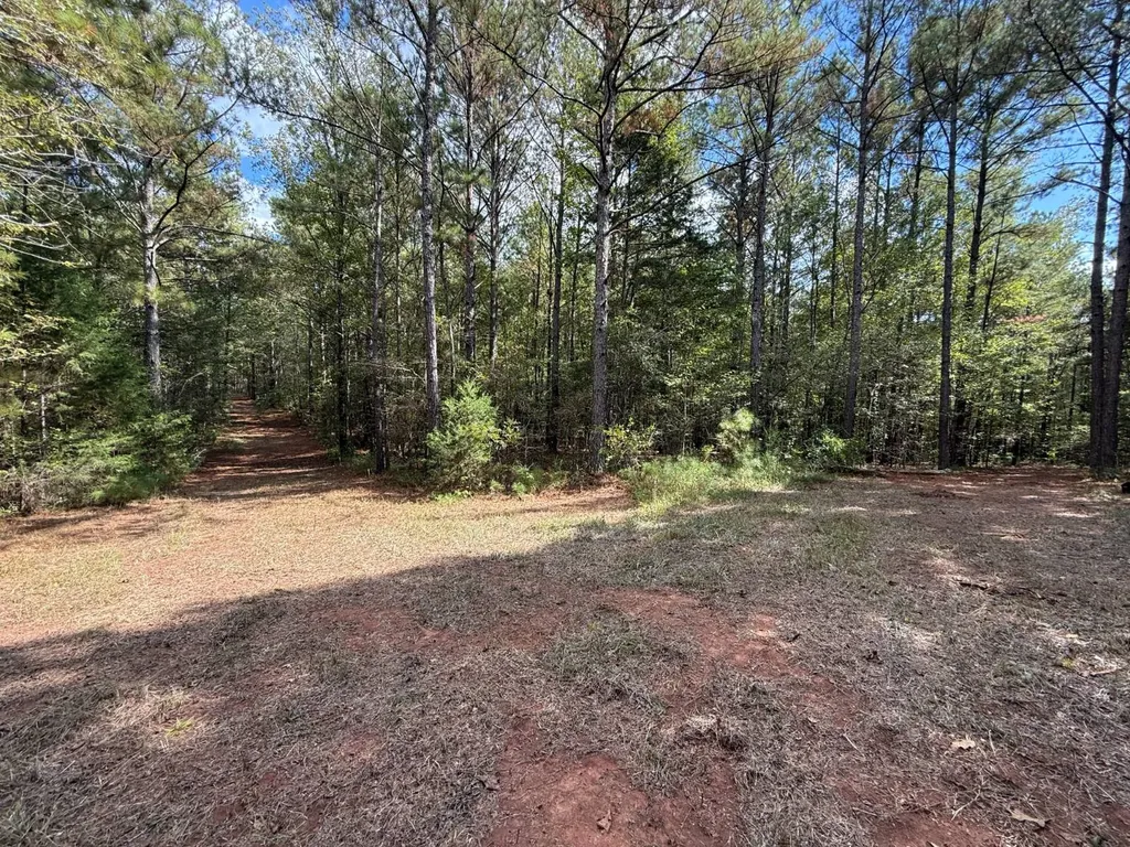 0 Howells Cove Road Talladega AL 35160