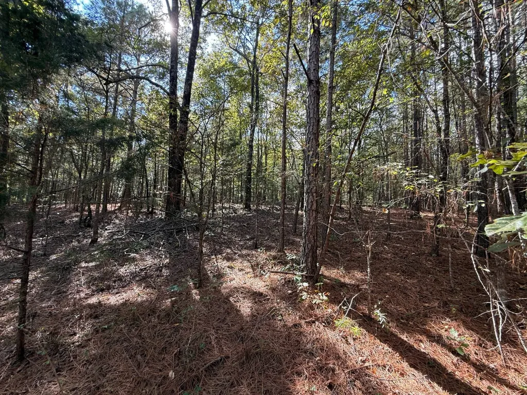 0 Howells Cove Road Talladega AL 35160