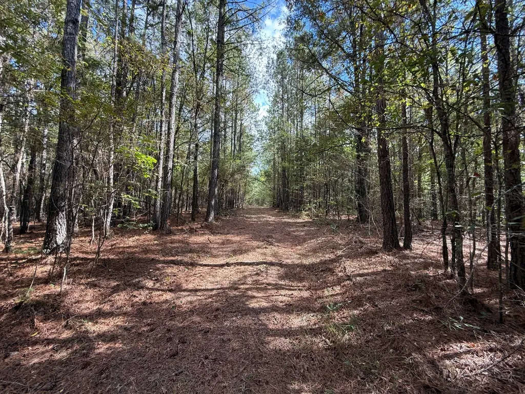 0 Howells Cove Road Talladega AL 35160