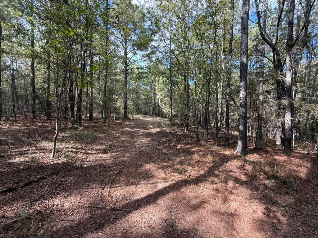 0 Howells Cove Road Talladega AL 35160