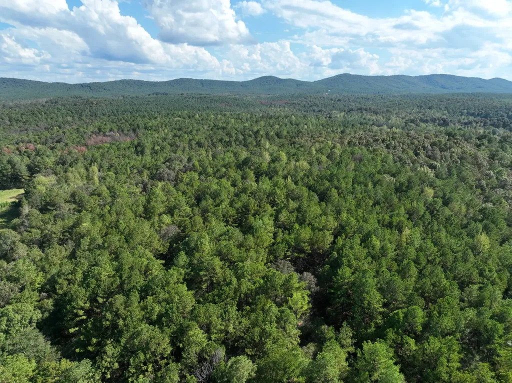 0 Howells Cove Road Talladega AL 35160