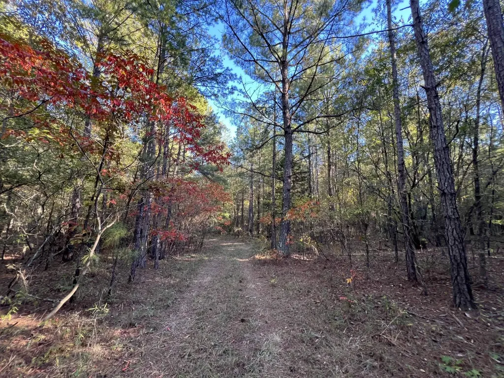 0 Howells Cove Road Talladega AL 35160