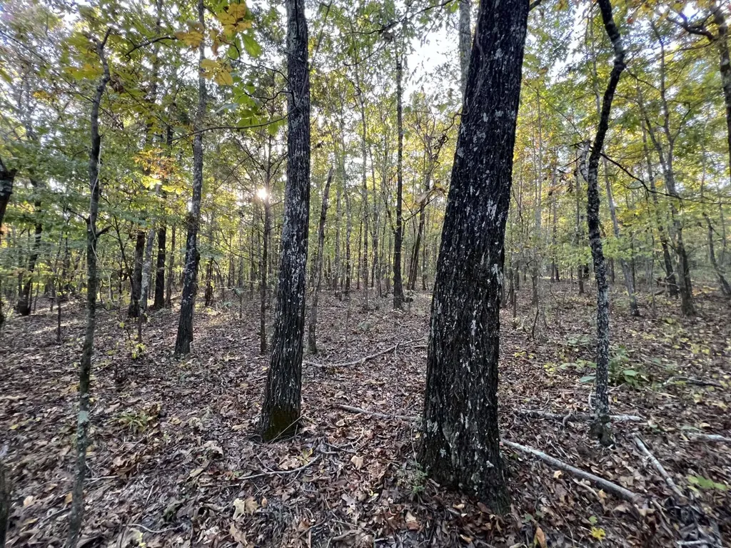 0 Howells Cove Road Talladega AL 35160