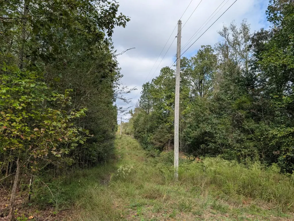 0 County Road 141 Florence AL 35633