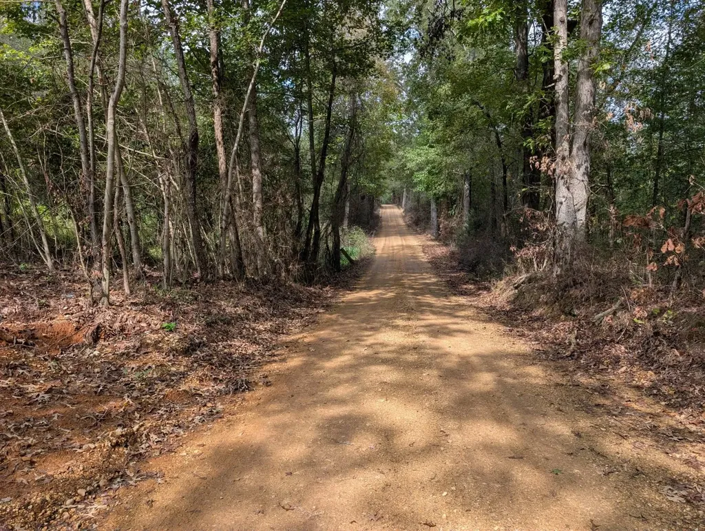 0 County Road 141 Florence AL 35633