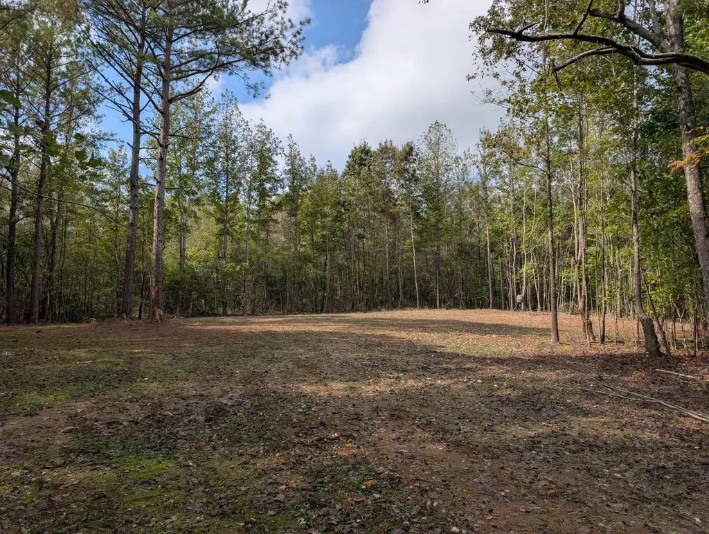 0 County Road 141 Florence AL 35633