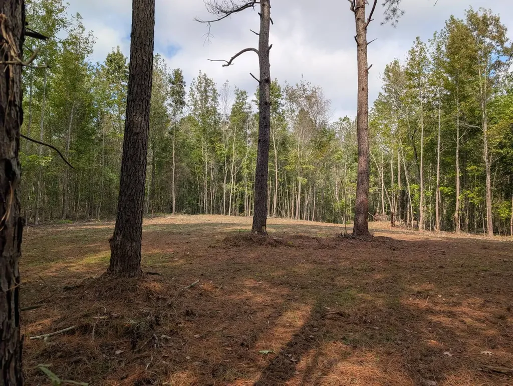 0 County Road 141 Florence AL 35633