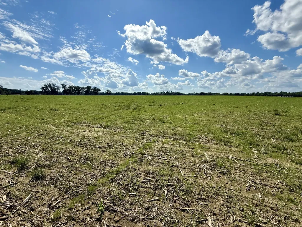 0 Baldwin Beach Expressway Robertsdale AL 36567