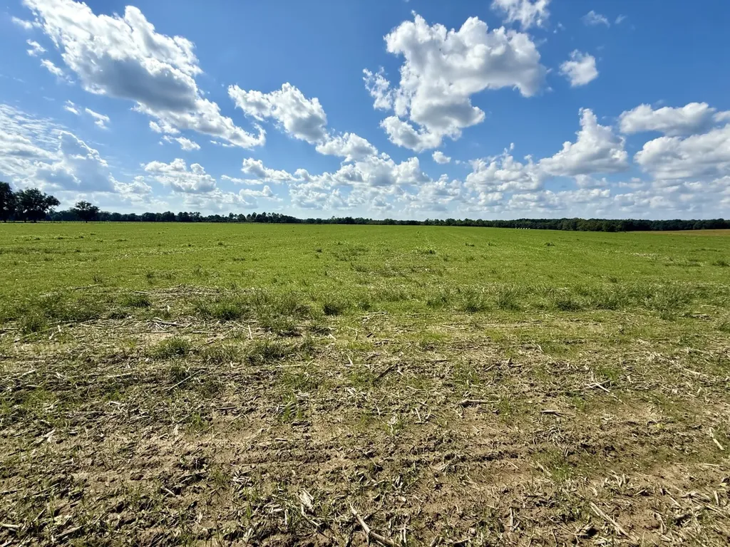 0 Baldwin Beach Expressway Robertsdale AL 36567