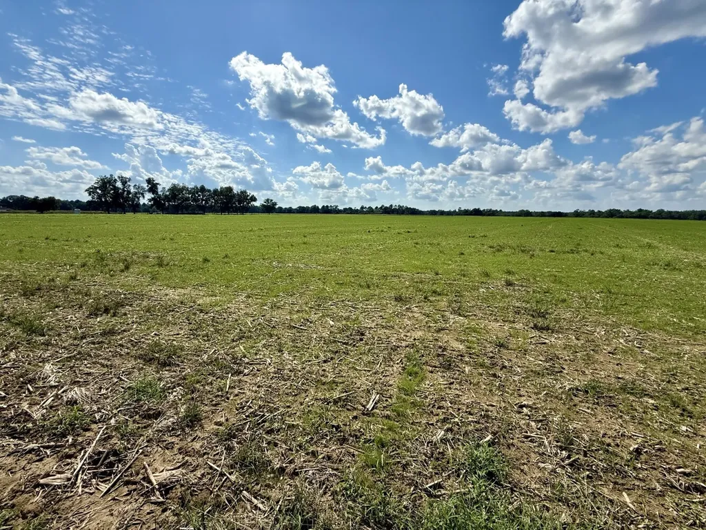 0 Baldwin Beach Expressway Robertsdale AL 36567