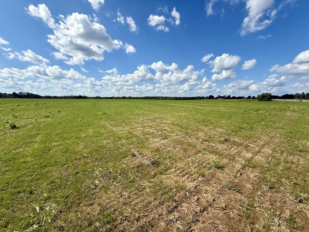 0 Baldwin Beach Expressway Robertsdale AL 36567