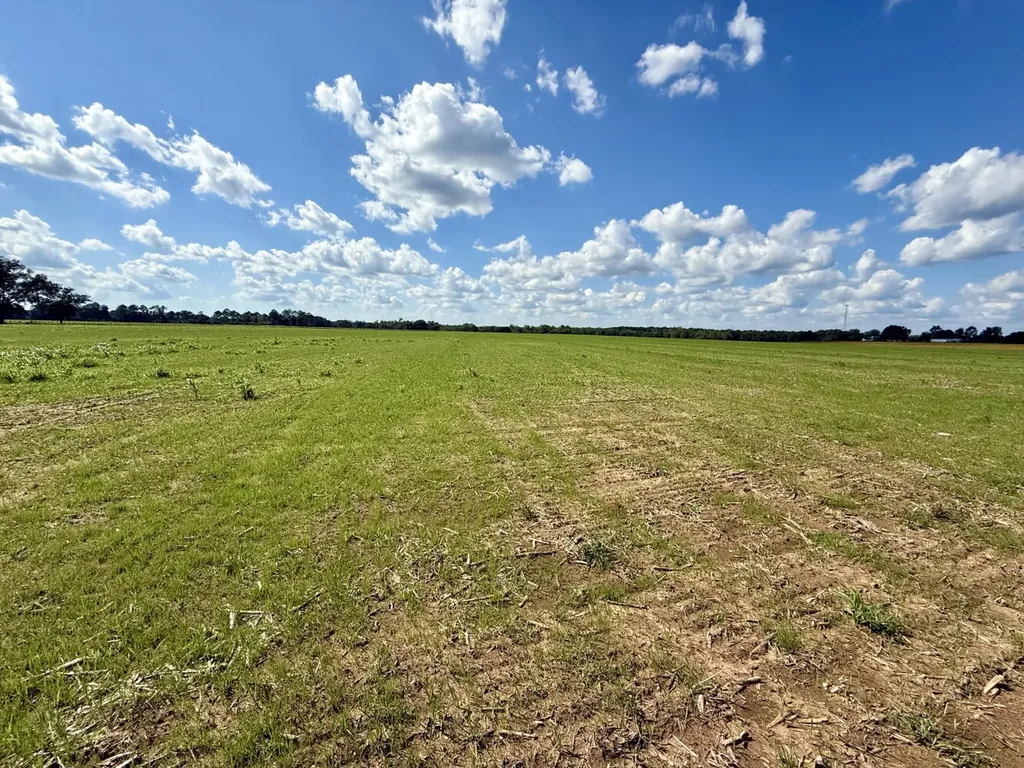 0 Baldwin Beach Expressway Robertsdale AL 36567