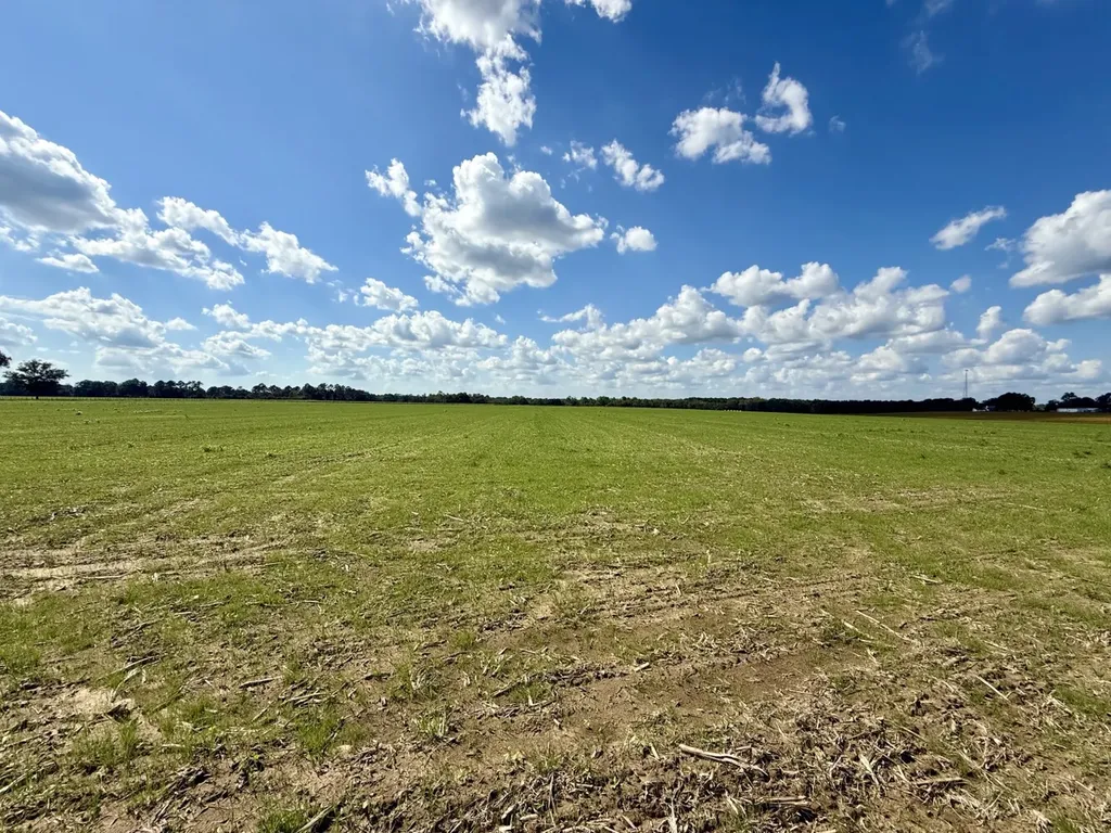 0 Baldwin Beach Expressway Robertsdale AL 36567