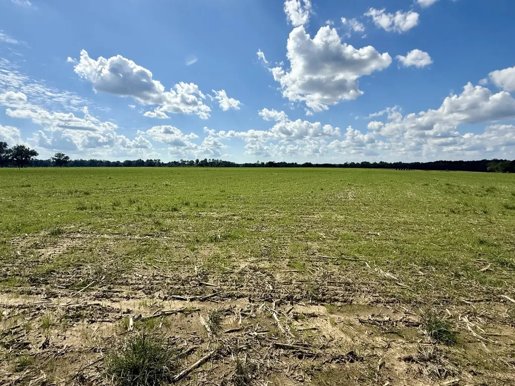 0 Baldwin Beach Expressway Robertsdale AL 36567