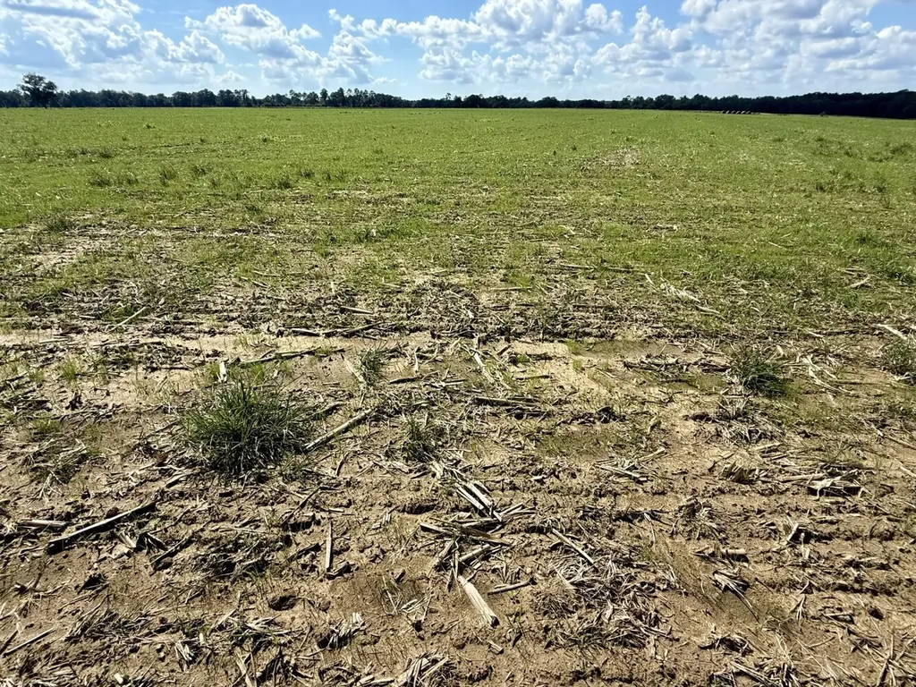 0 Baldwin Beach Expressway Robertsdale AL 36567