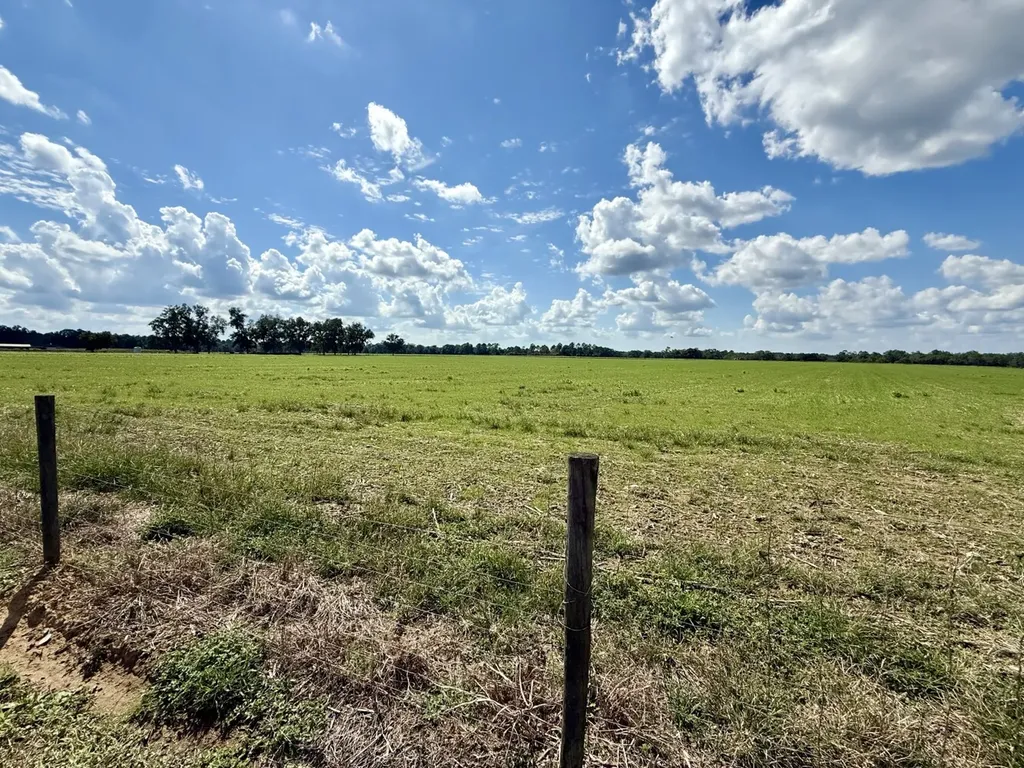 0 Baldwin Beach Expressway Robertsdale AL 36567