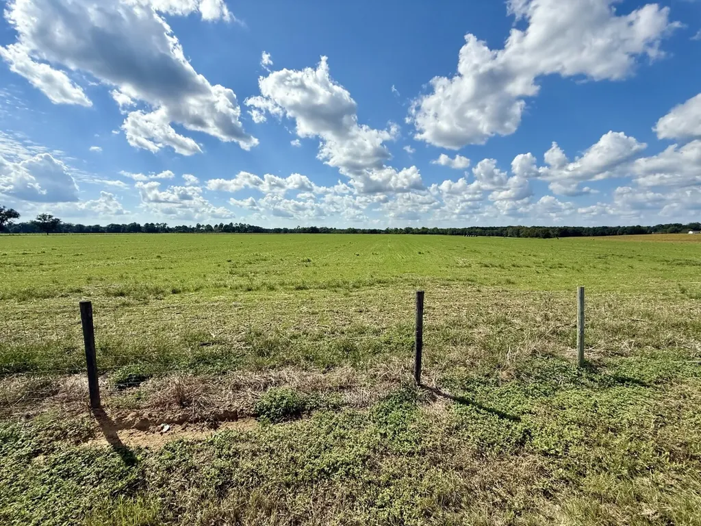 0 Baldwin Beach Expressway Robertsdale AL 36567