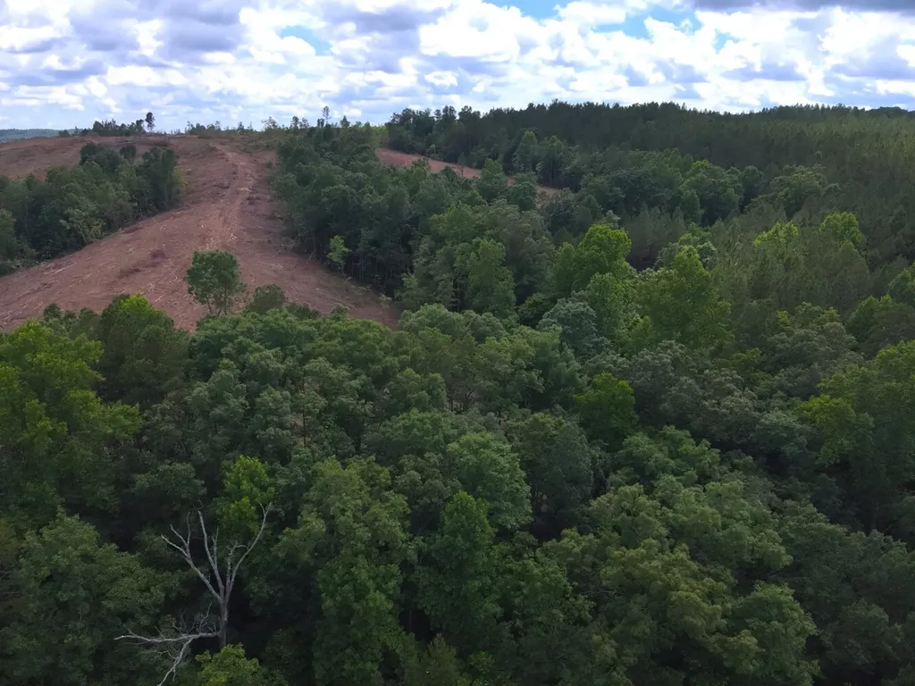 0 Stoney Point Road S Double Springs AL 35553