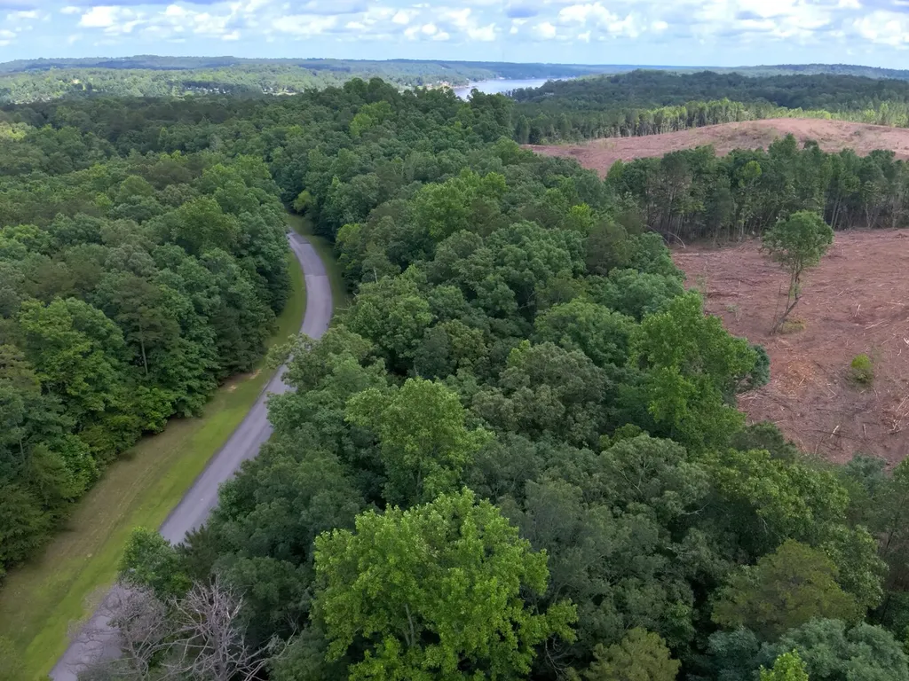 0 Stoney Point Road S Double Springs AL 35553