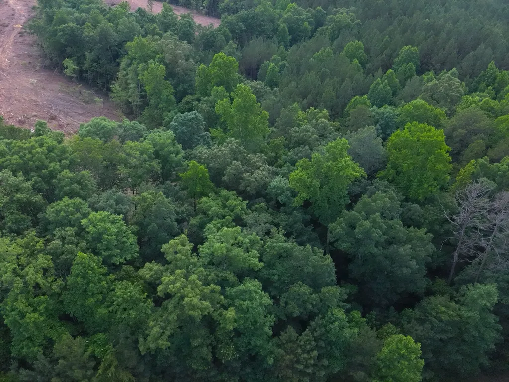 0 Stoney Point Road S Double Springs AL 35553