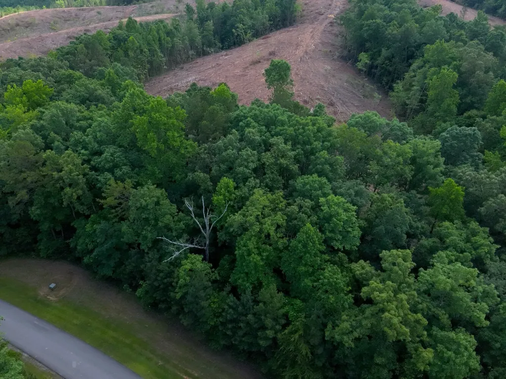 0 Stoney Point Road S Double Springs AL 35553