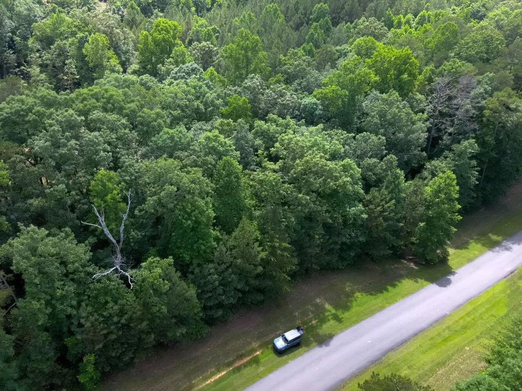 0 Stoney Point Road S Double Springs AL 35553