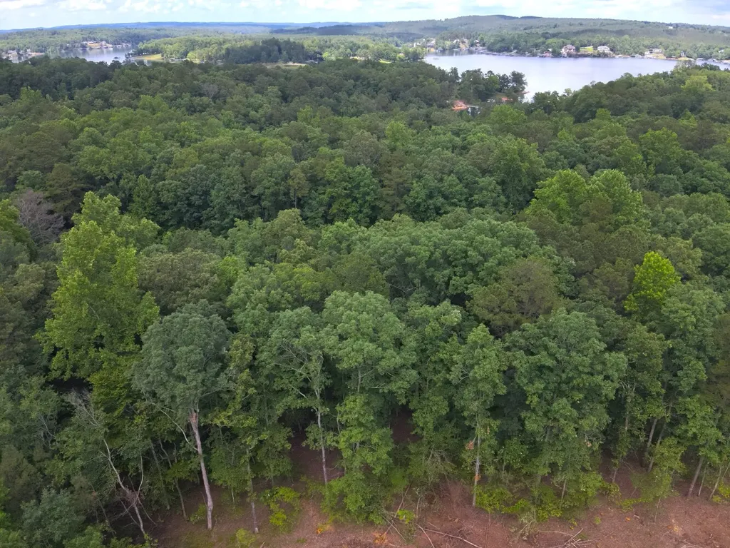 0 Stoney Point Road S Double Springs AL 35553