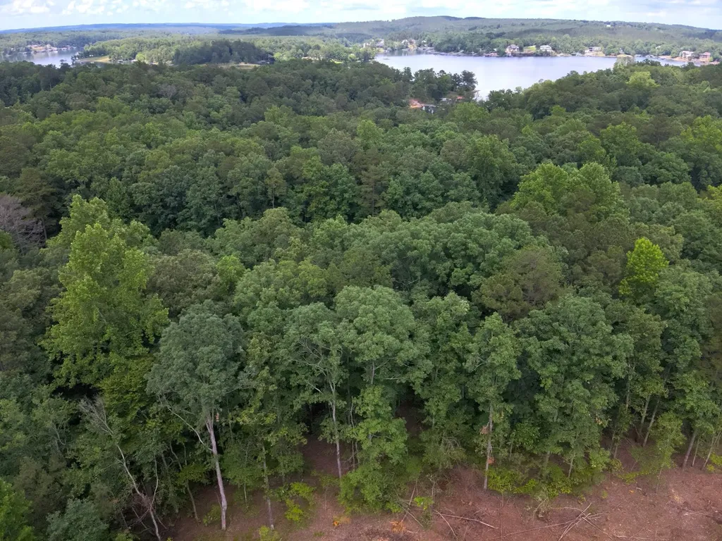 0 Stoney Point Road S Double Springs AL 35553