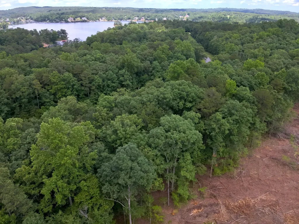 0 Stoney Point Road S Double Springs AL 35553