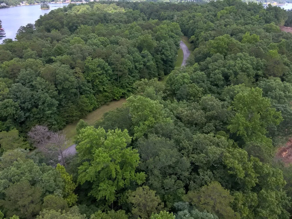 0 Stoney Point Road S Double Springs AL 35553