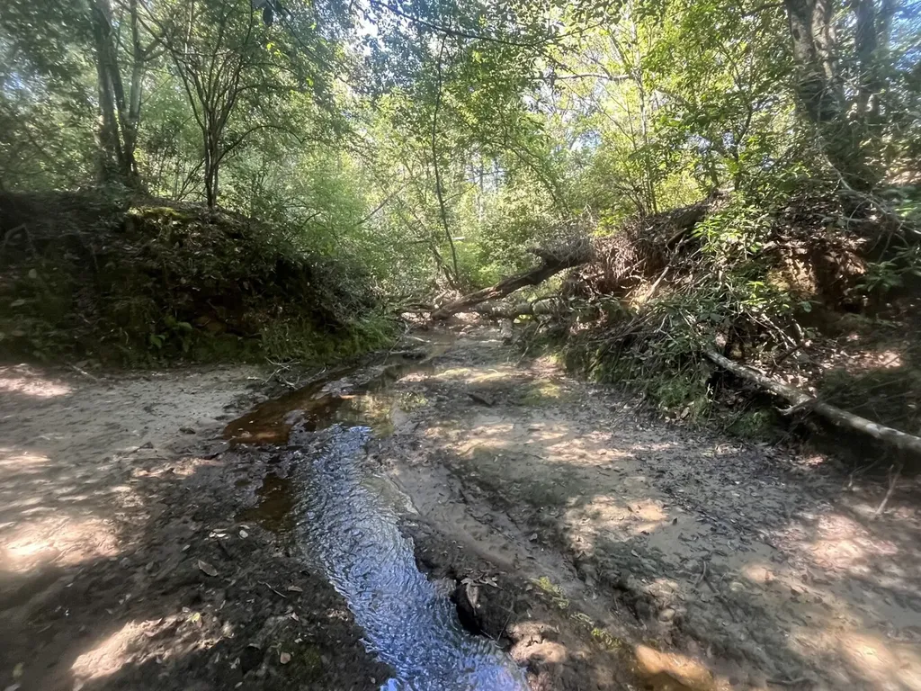 2 County Road 223 New Brockton AL 36351