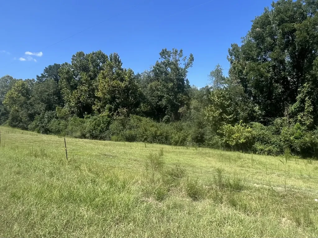 2 County Road 223 New Brockton AL 36351