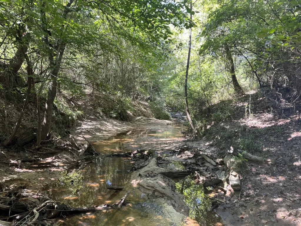 2 County Road 223 New Brockton AL 36351