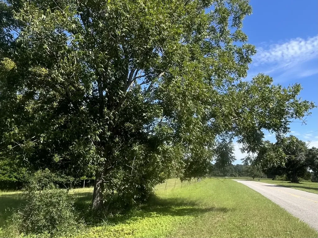 2 County Road 223 New Brockton AL 36351