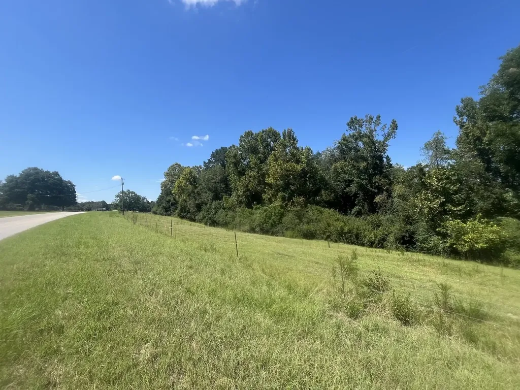 2 County Road 223 New Brockton AL 36351