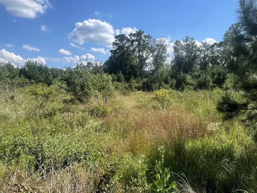 2 County Road 223 New Brockton AL 36351