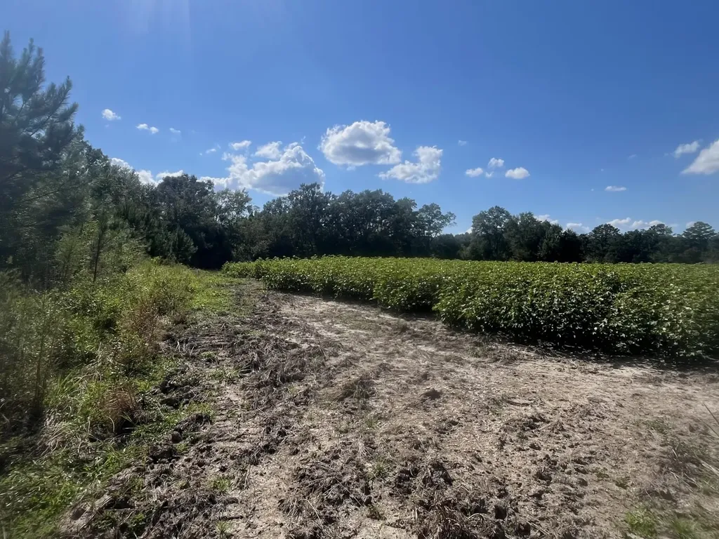 2 County Road 223 New Brockton AL 36351