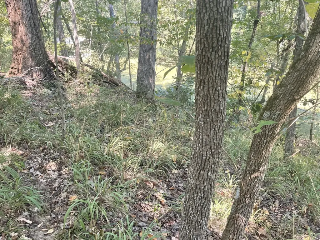 135 Arrowhead Point Orrville AL 36767